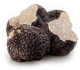 Exquisite black truffle Winter – Tuber Melanosporum