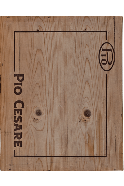 barbaresco il bricco pio cesare 1995 0 75 lt 