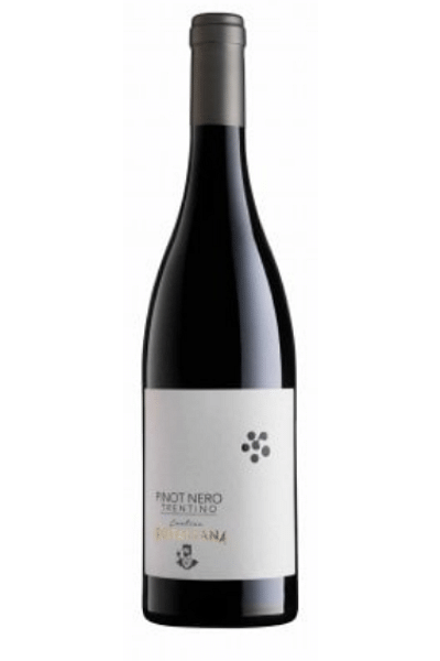 pinot nero trentino rotaliana 2021 0 75 lt 