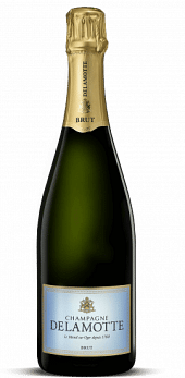 Champagne Blechschild Stabil Flach Neu aus GB 30x40cm S4773 