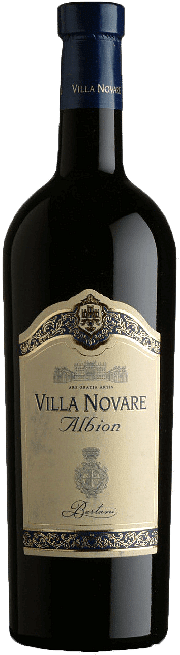 Villa Novare Albiono Bertani 1999 0.75 lt.