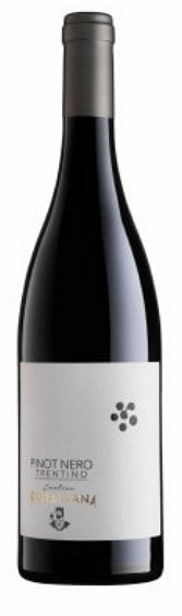 Pinot Nero Trentino Rotaliana 2021 0.75 lt.