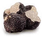 Tartufo Nero Pregiato Invernale Tuber Melanosporum