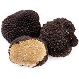 Tartufo Nero Estivo – Tuber Aestivum