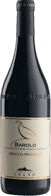 Barolo Bricco Pernice Elvio Cogno 2009 0,75 lt.