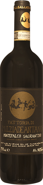 Sagrantino di Montefalco Antano 2020 0.75 lt.