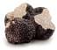 Tartufo Nero Pregiato Invernale Tuber Melanosporum