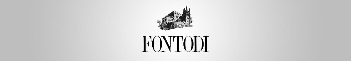 cantina fontodi